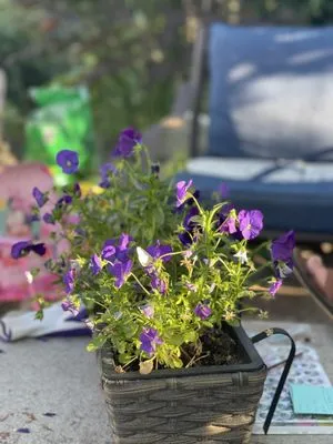 Jimay Landscaping And Cleaning Services Logo