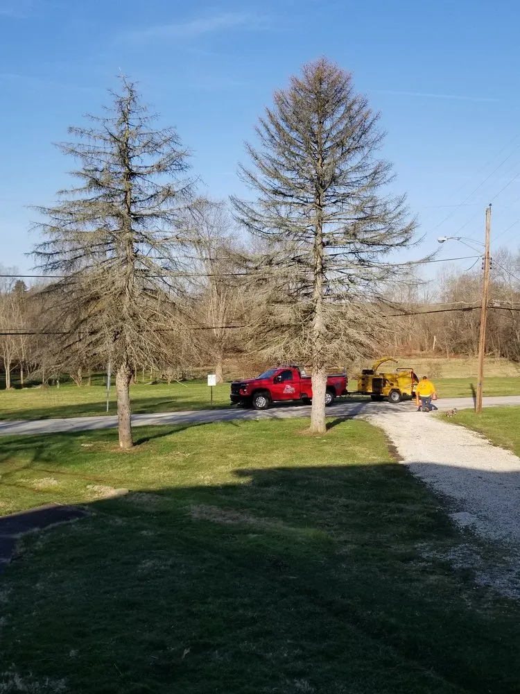 Reliable yard cleanup service in Massillon, OH - Jimbo's Landscaping