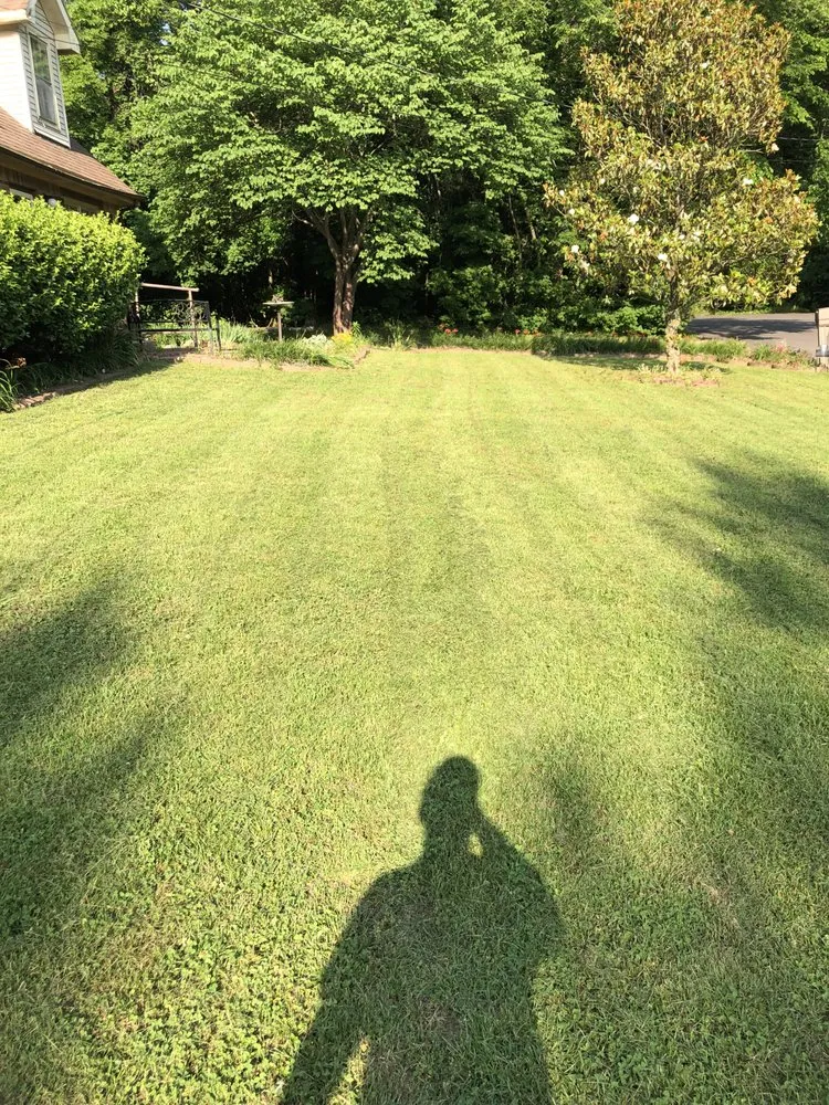 Trusted landscaping services for homes in Hopkinsville, KY by Jimbo's Lawn Service