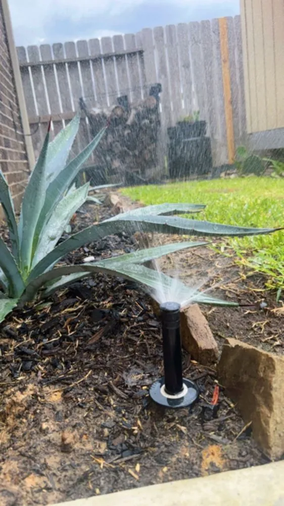 Trusted yard cleanup service with custom design across Katy, TX - Jimenez & A Irrigation