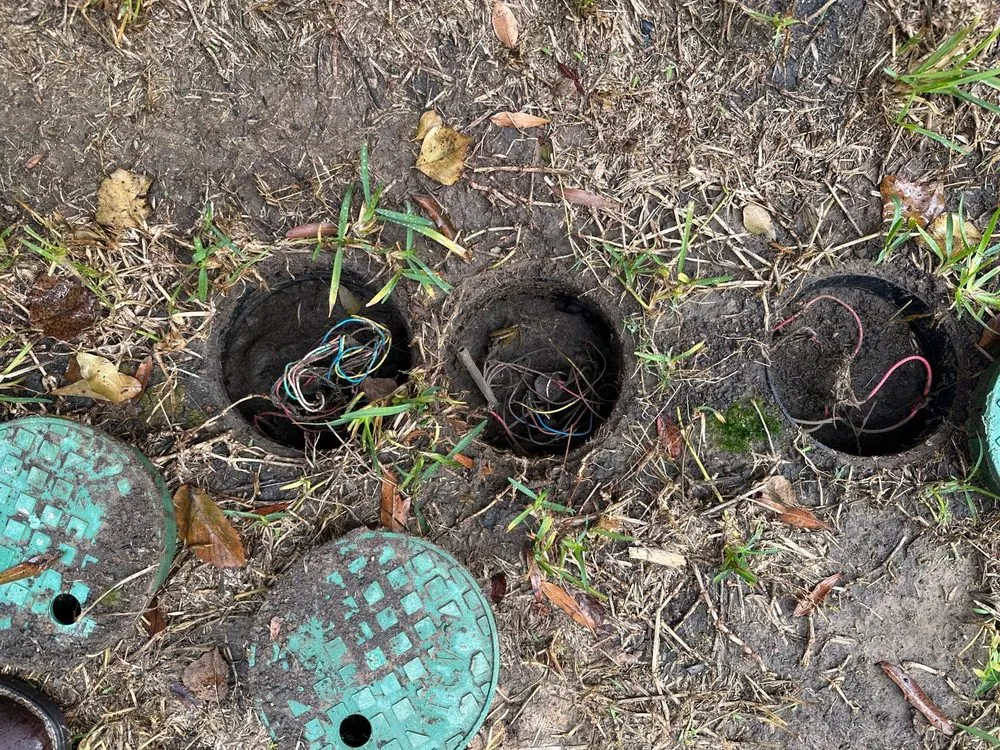 Trusted yard cleanup service near you in Katy, TX by Jimenez & A Irrigation