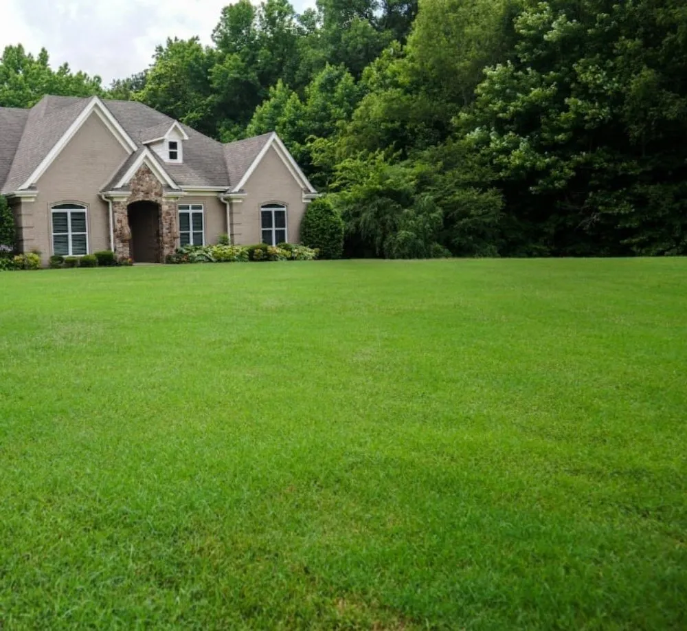 Local landscaping services in Bunn, NC by Jimenez & Horton