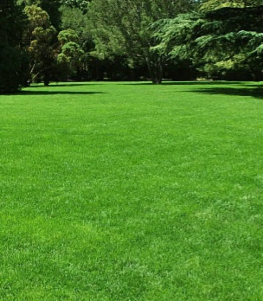 Trusted landscaping services experts serving Bunn, NC - Jimenez & Horton