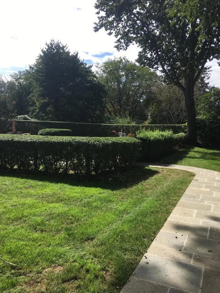 Expert lawn care service in Bridgeport, CT - Jimenez All Seasons