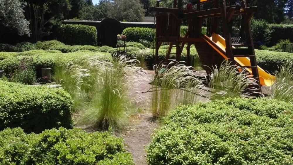 Local lawn mowing service for year-round maintenance in San Mateo, CA by Jimenez Brothers