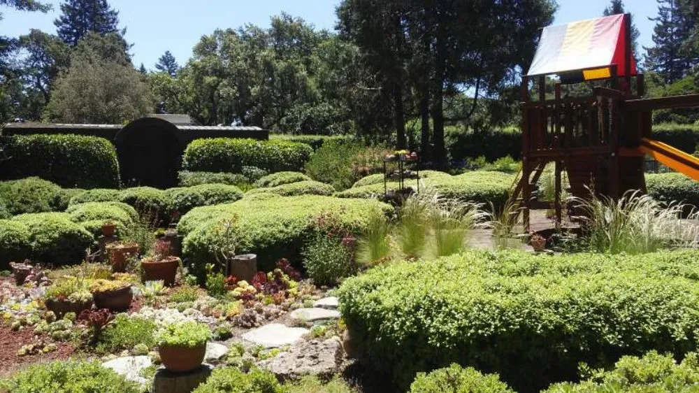 Custom yard cleanup service near you across San Mateo, CA - Jimenez Brothers