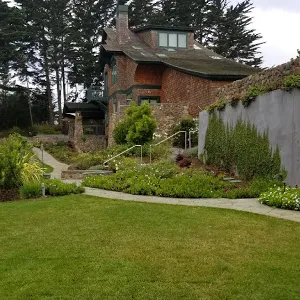 Professional yard cleanup service experts serving San Mateo, CA - Jimenez Brothers