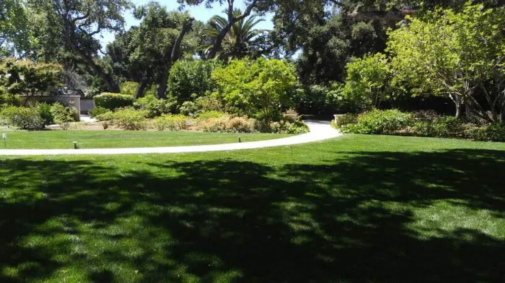 Professional lawn care service in San Mateo, CA - Jimenez Brothers