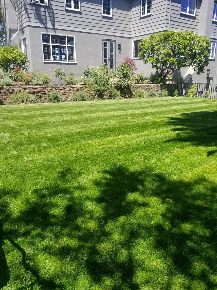 Reliable landscape design for year-round maintenance across San Mateo, CA - Jimenez Brothers