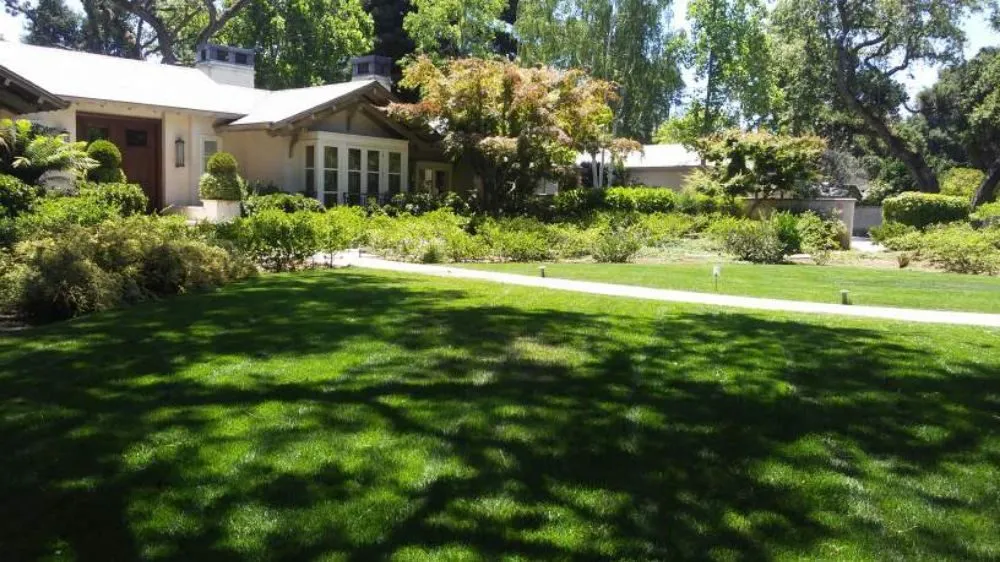 Affordable landscape design in San Mateo, CA - Jimenez Brothers