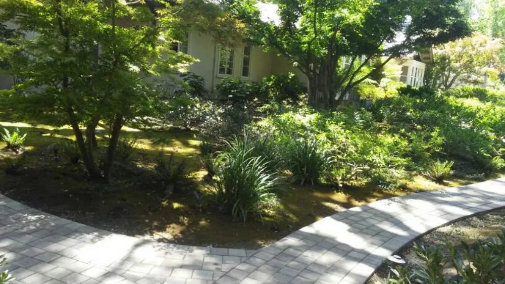 Professional landscape installation experts serving San Mateo, CA - Jimenez Brothers