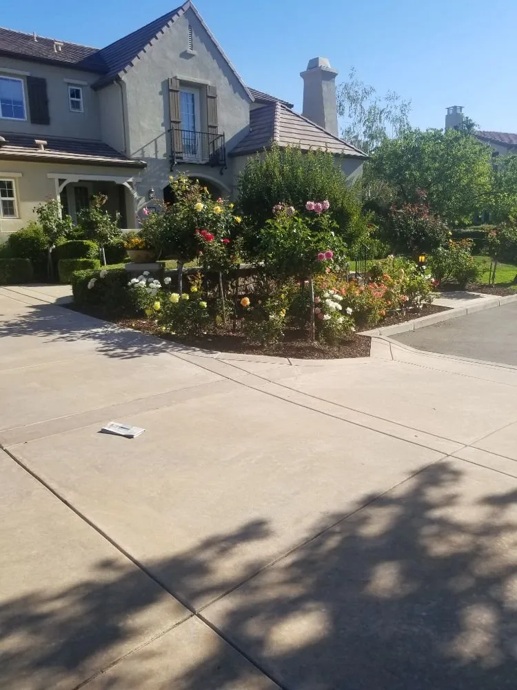 Professional yard cleanup service with custom design in San Mateo, CA by Jimenez Brothers