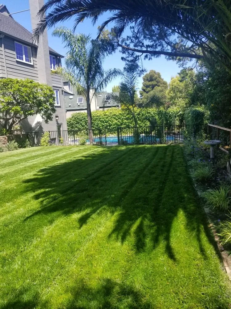Reliable landscape design in San Mateo, CA by Jimenez Brothers