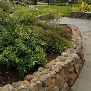 Expert lawn care service near you in San Mateo, CA by Jimenez Brothers