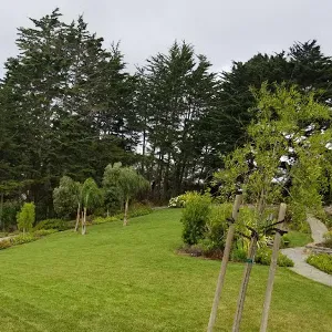Expert yard maintenance experts serving San Mateo, CA - Jimenez Brothers