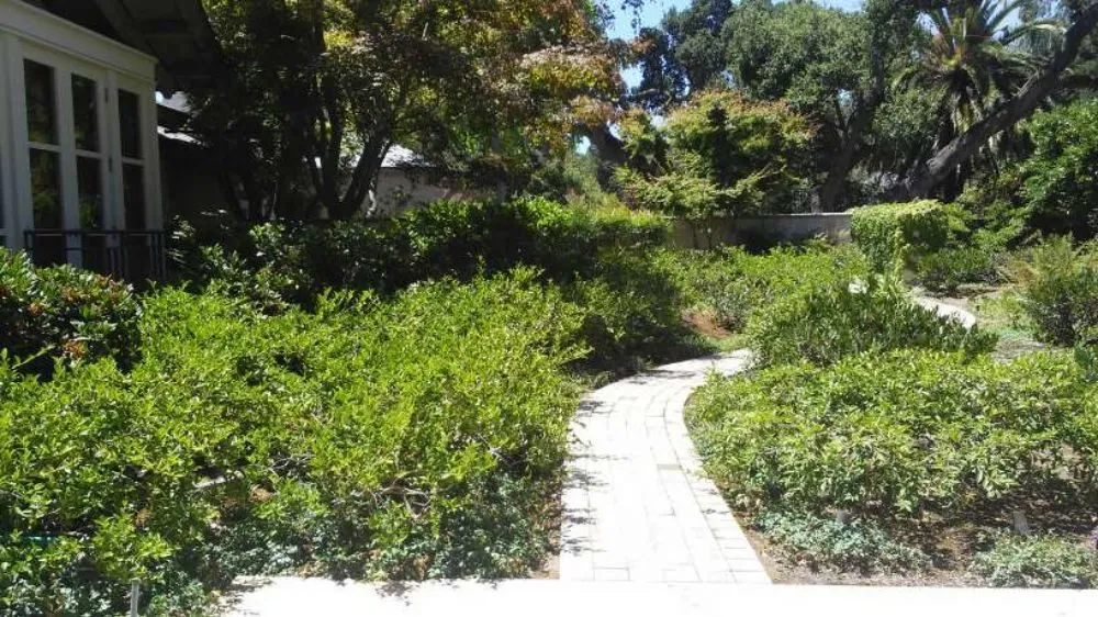 Trusted landscaping services for beautiful yards across San Mateo, CA - Jimenez Brothers