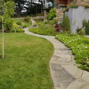 Expert landscaping services in San Mateo, CA by Jimenez Brothers