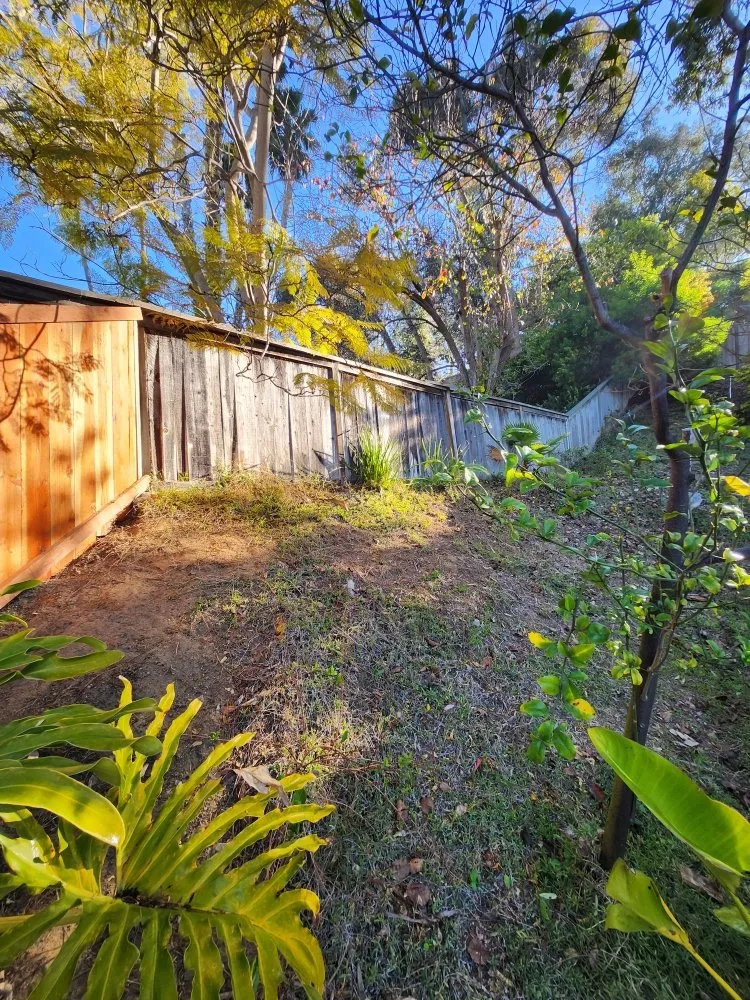 Custom yard maintenance for beautiful yards across Oceanside, CA - Jimenez Construcion