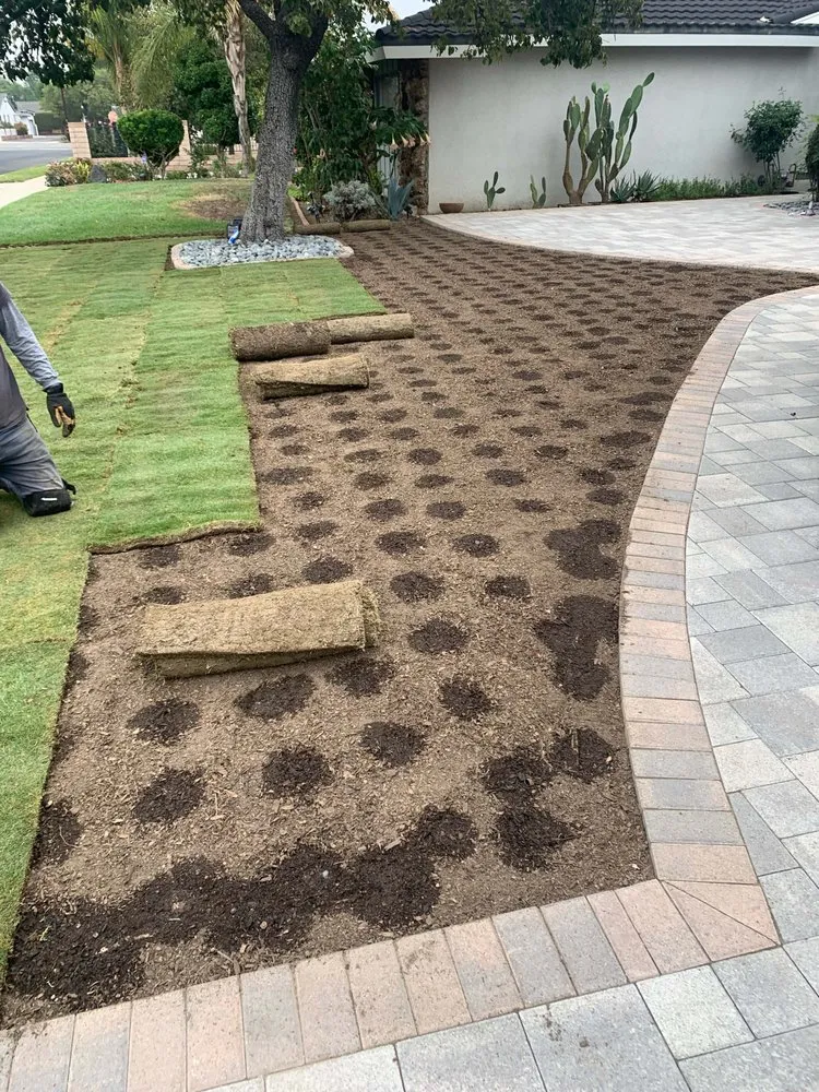 Reliable yard cleanup service for beautiful yards across Santa Clarita, CA - Jimenez E Landscape