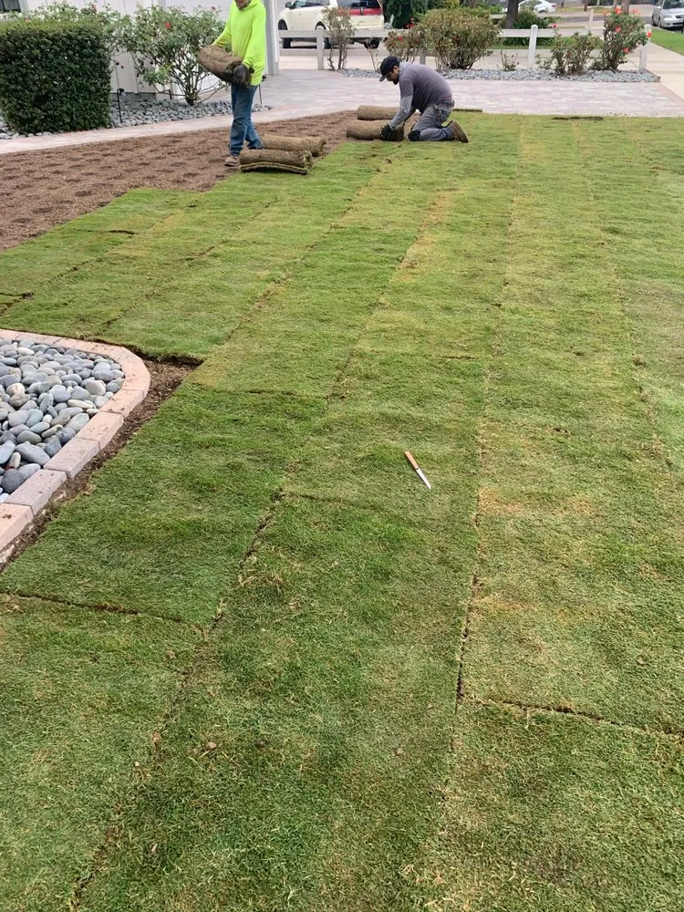Top-rated yard cleanup service in Santa Clarita, CA - Jimenez E Landscape
