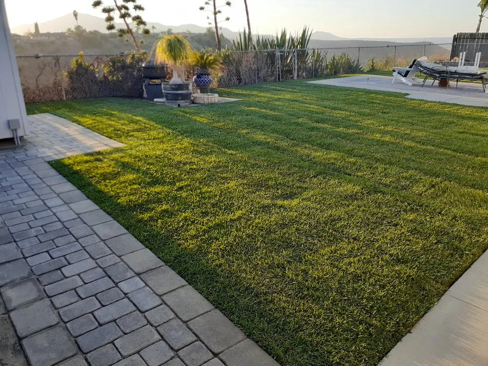 Reliable landscaping services for residential properties in Spring Valley, CA by Jimenez Gardening