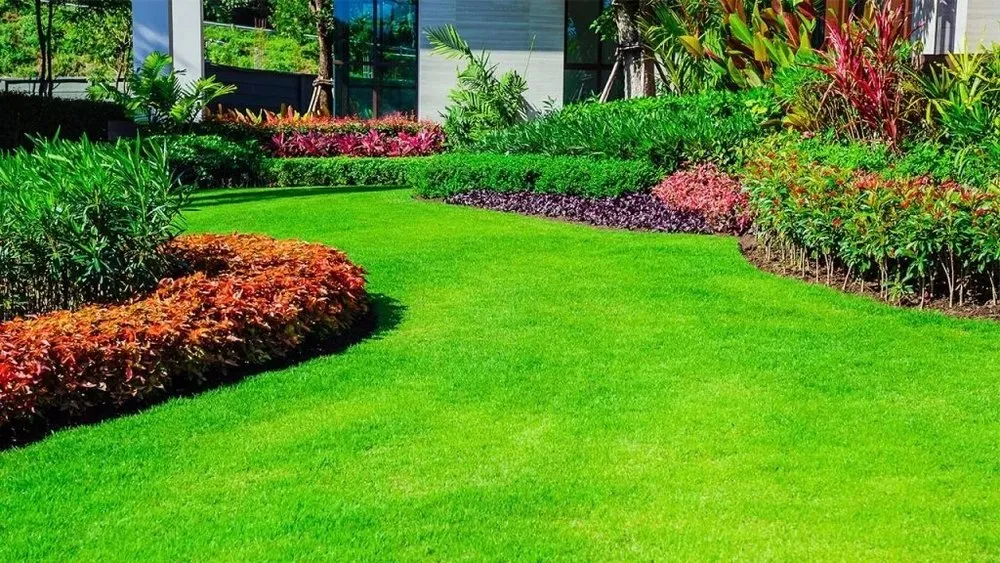Affordable garden landscaping in Sugar Land, TX - Jimenez Guru Lawn Service