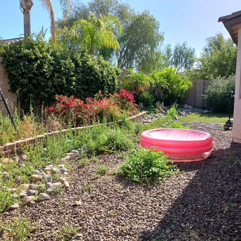 Affordable lawn mowing service for residential properties in Phoenix, AZ by Jimenez Hardscape