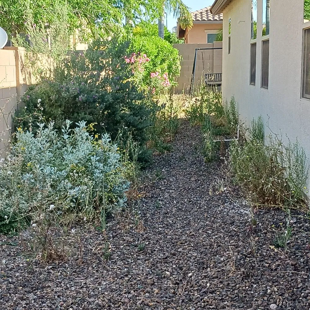 Custom landscape installation experts serving Phoenix, AZ - Jimenez Hardscape