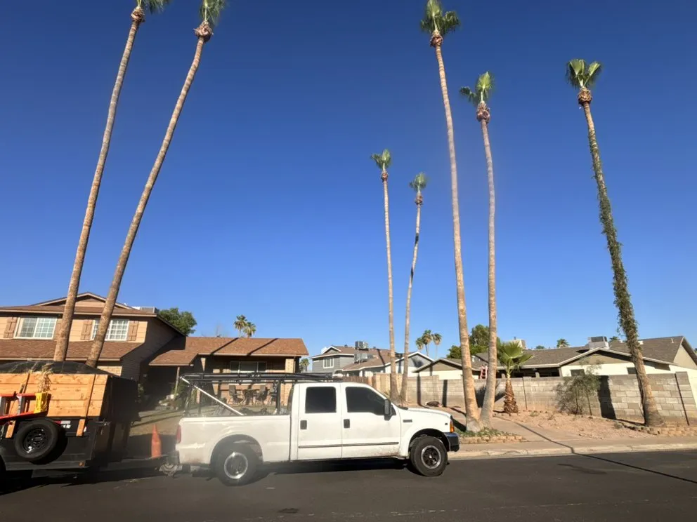Professional landscape installation in Phoenix, AZ - Jimenez Hardscape
