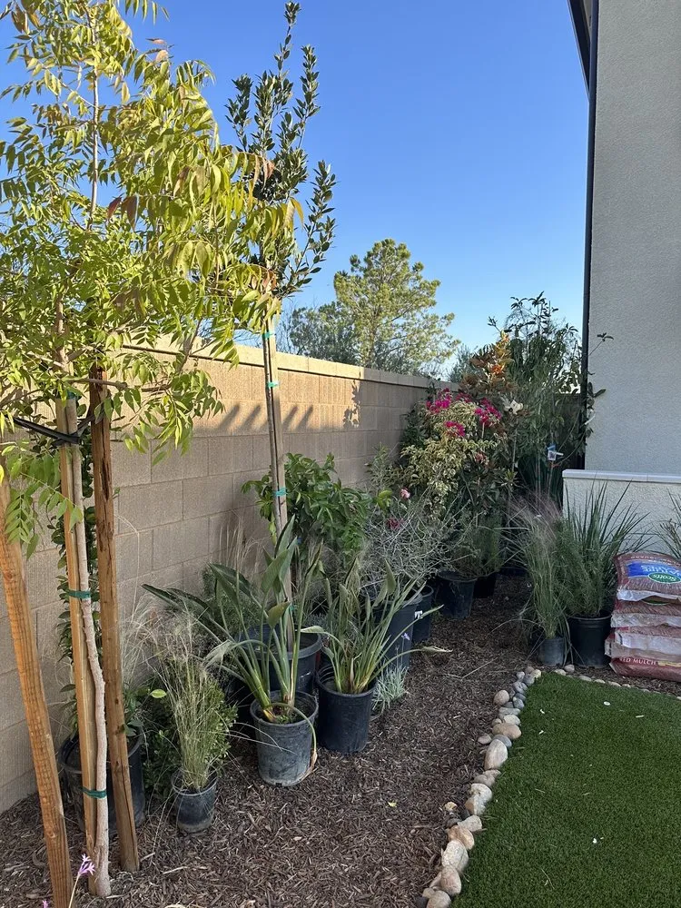 Professional landscape installation near you across Madera, CA - Jimenez Heritage Landscape