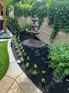 Affordable outdoor landscaping experts serving Madera, CA - Jimenez Heritage Landscape