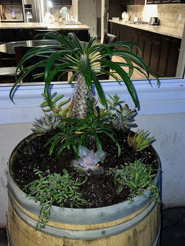 Affordable residential landscaping for outdoor upgrades across Madera, CA - Jimenez Heritage Landscape