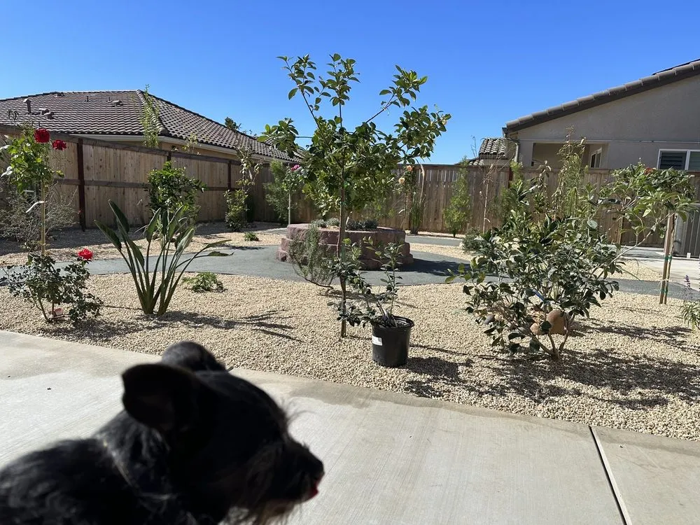 Top-rated residential landscaping in Madera, CA by Jimenez Heritage Landscape
