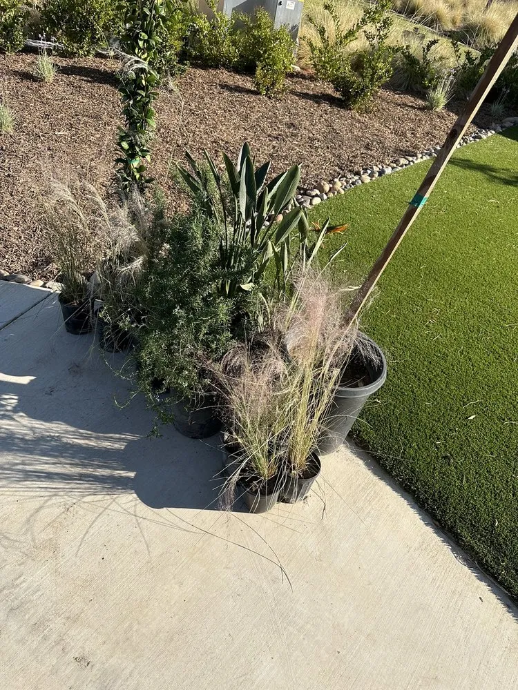 Affordable yard maintenance near you in Madera, CA by Jimenez Heritage Landscape