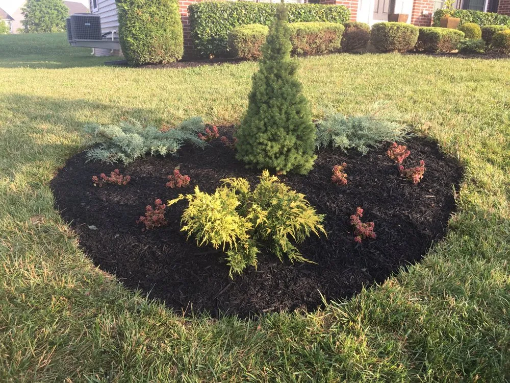 Top-rated landscaping services in Maryland, VA - Jimenez Landcare