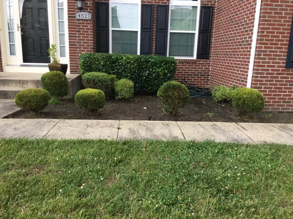 Professional outdoor landscaping in Maryland, VA by Jimenez Landcare