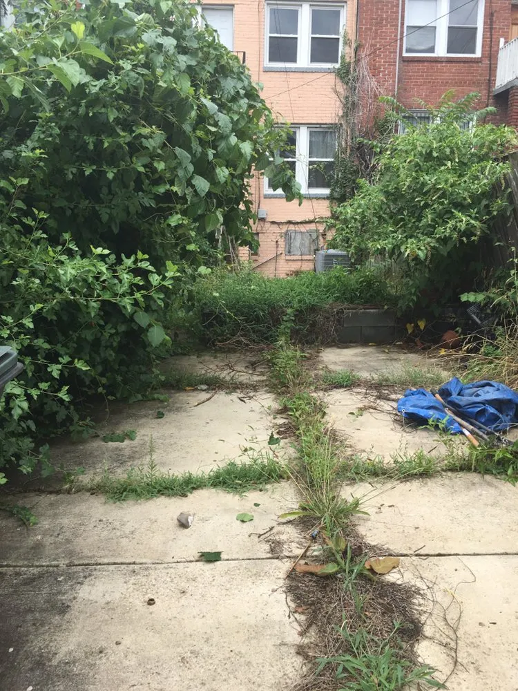 Top-rated landscaping services in Maryland, VA - Jimenez Landcare
