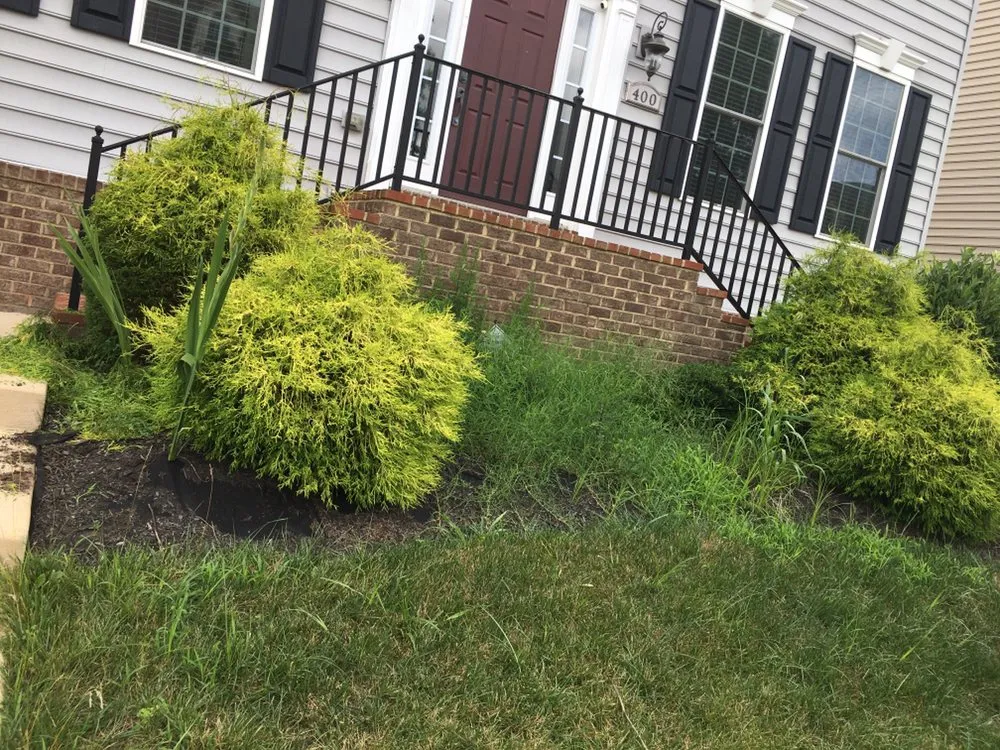 Custom residential landscaping in Maryland, VA by Jimenez Landcare