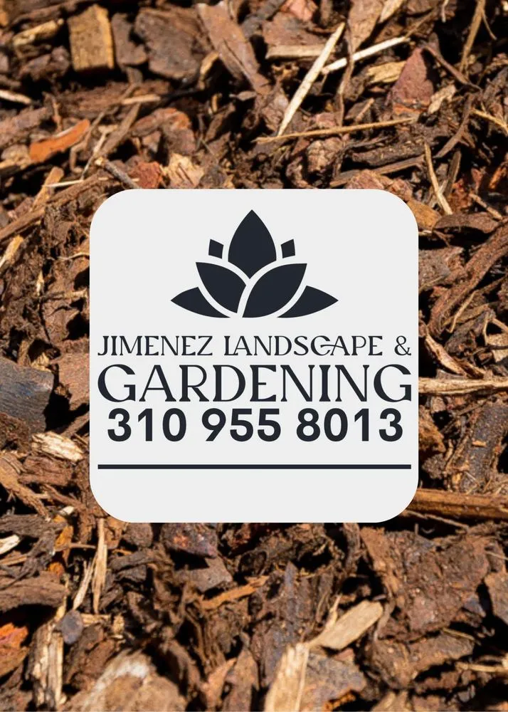 Custom residential landscaping in Lawndale, CA by Jimenez Landscape & Gardening