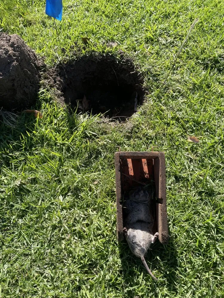 Affordable residential landscaping for residential properties across Lawndale, CA - Jimenez Landscape & Gardening