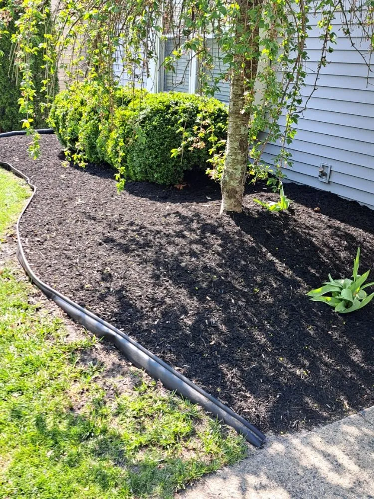 Top-rated landscaping services for year-round maintenance in Tinton Falls, NJ by Jimenez Landscape And Maid Service