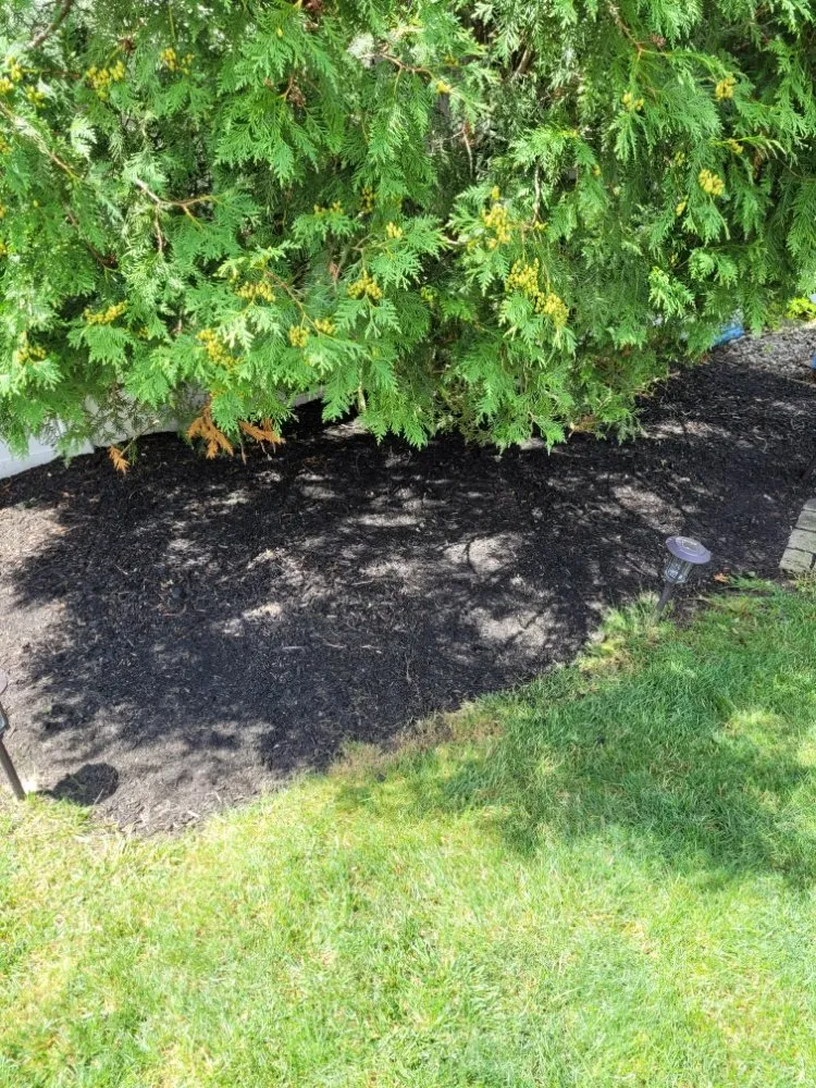 Affordable yard maintenance in Tinton Falls, NJ - Jimenez Landscape And Maid Service