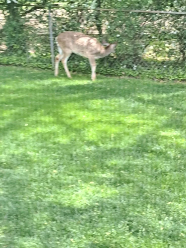 Custom landscaping services for homes in Tinton Falls, NJ by Jimenez Landscape And Maid Service