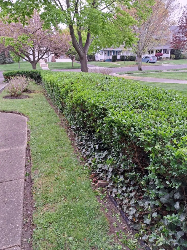 Trusted yard maintenance in Tinton Falls, NJ - Jimenez Landscape And Maid Service