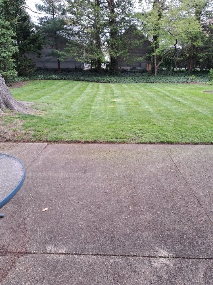 Affordable landscape installation experts serving Tinton Falls, NJ - Jimenez Landscape And Maid Service