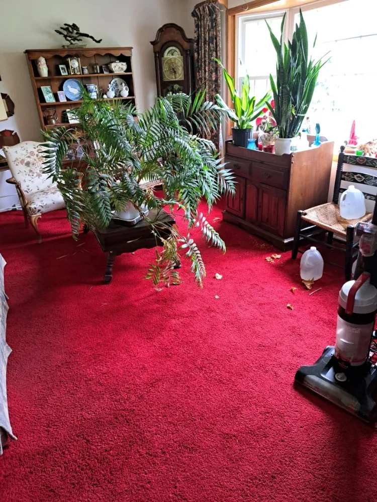 Local garden landscaping for outdoor upgrades across Tinton Falls, NJ - Jimenez Landscape And Maid Service