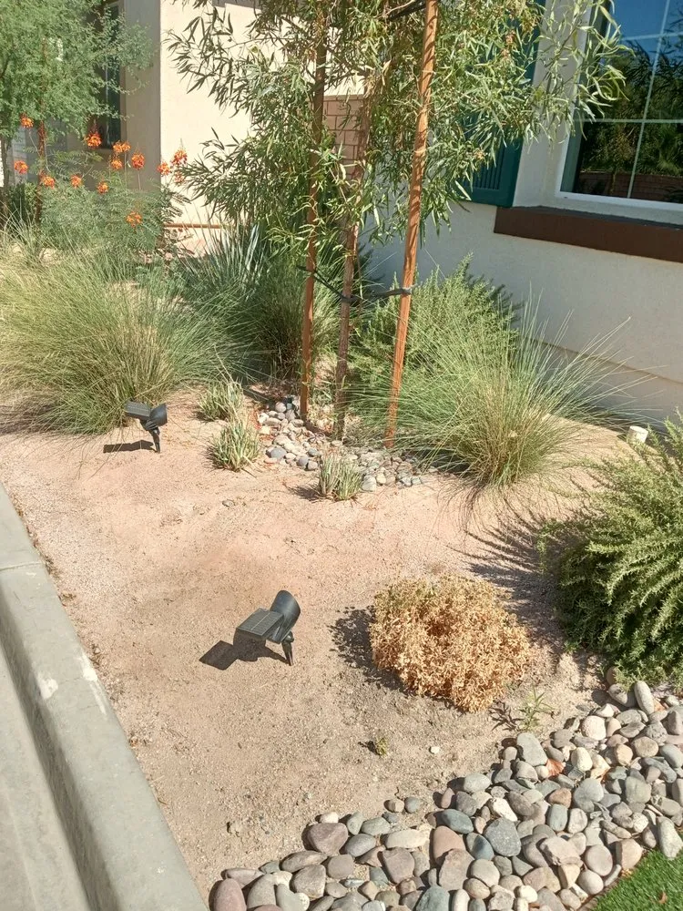 Expert garden landscaping with custom design across Cathedral City, CA - Jimenez Landscape