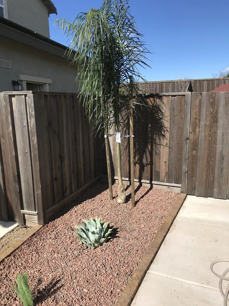 Reliable yard maintenance experts serving Antioch, CA - Jimenez Landscape Construction