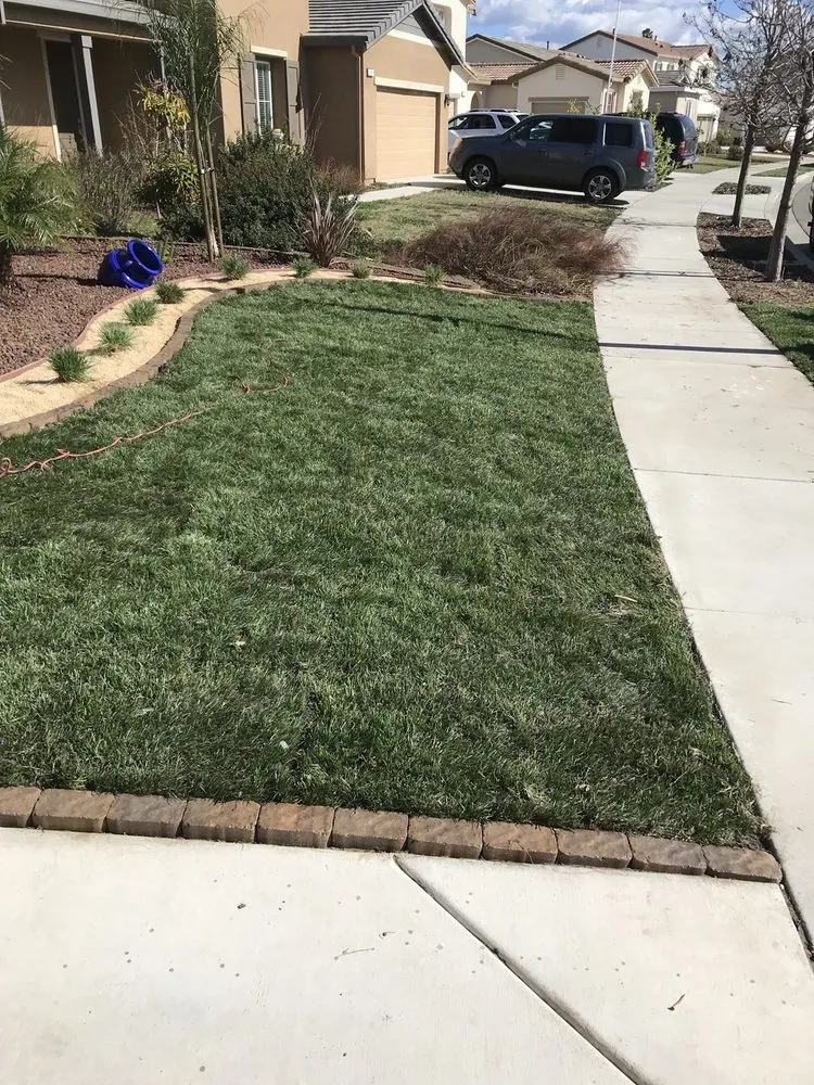 Trusted yard cleanup service in Antioch, CA by Jimenez Landscape Construction