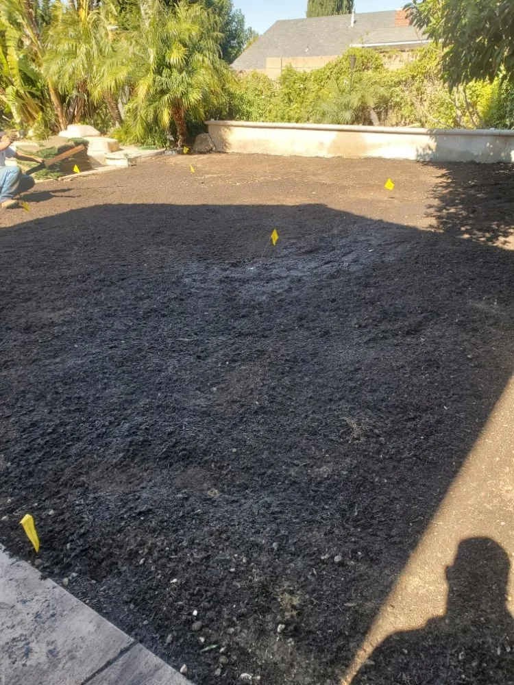 Local yard cleanup service for year-round maintenance across Oxnard, CA - Jimenez Landscape Maintenance